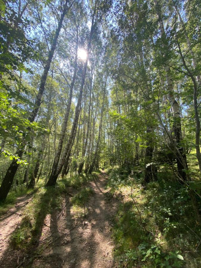Sanmari_Forest Ledenice Εξωτερικό φωτογραφία