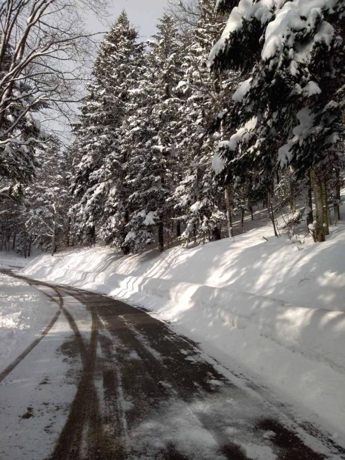 Sanmari_Forest Ledenice Εξωτερικό φωτογραφία