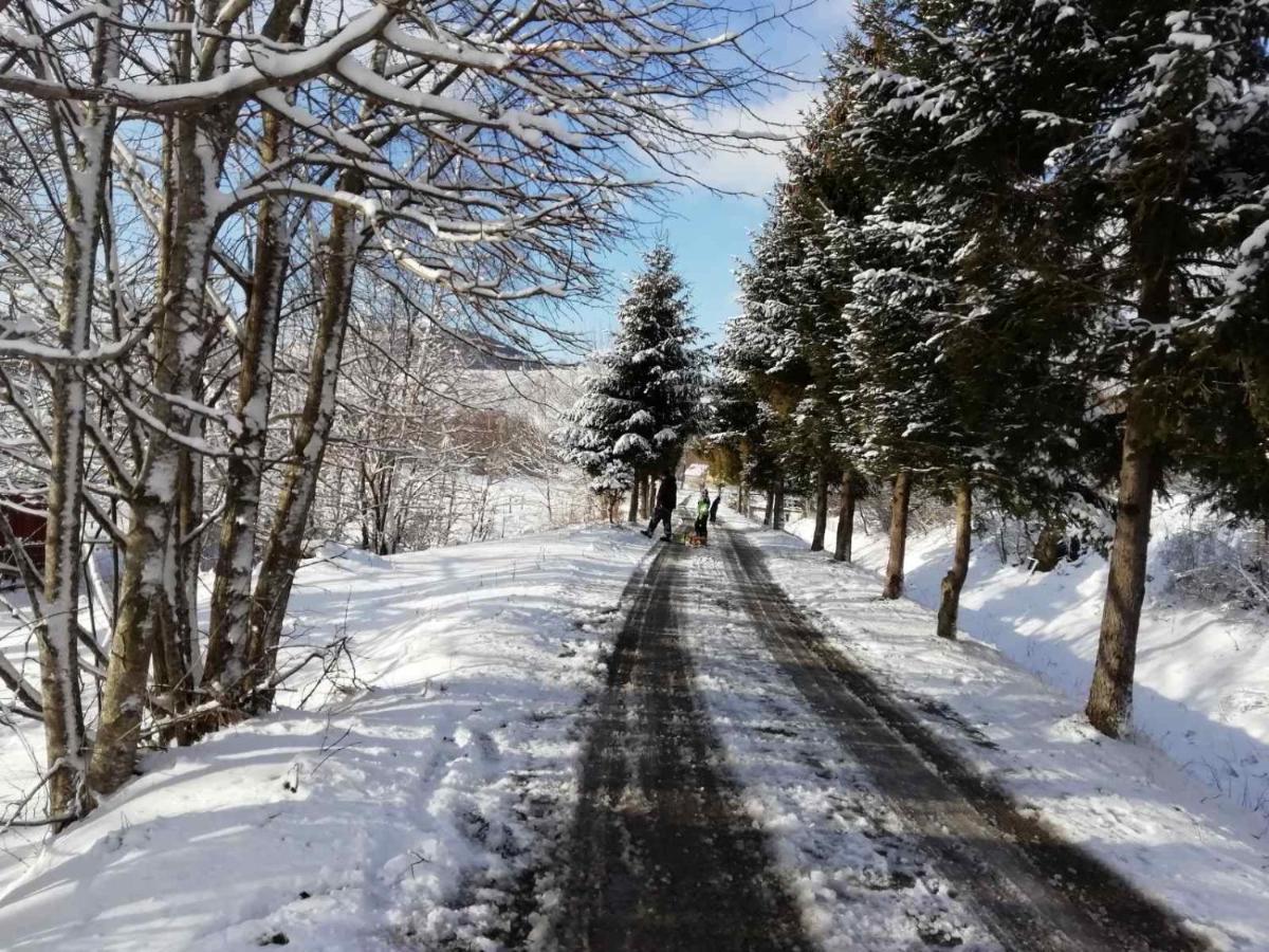 Sanmari_Forest Ledenice Εξωτερικό φωτογραφία